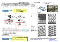LIGA プロセスによるニッケルマイクロ金型の作製