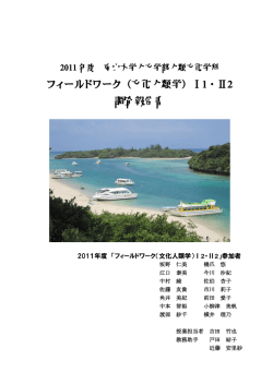 2011年度報告書