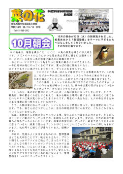 Taro-281012 28号