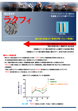 競走馬専用 競走馬の疝痛よけ・軟便対策・ストレス軽減に