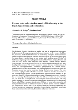 Pant】Mountain 【送料無料】【新作】Philipp Plein フィリップ・プレイン