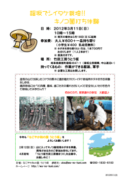 謡坂でシイタケ栽培!! キノコ菌打ち体験