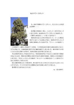 私のパワースポット
