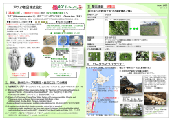 アスク薬品株式会社