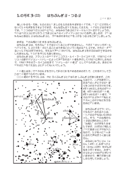 星の停車場 (22) はちぶんぎ座・つる座