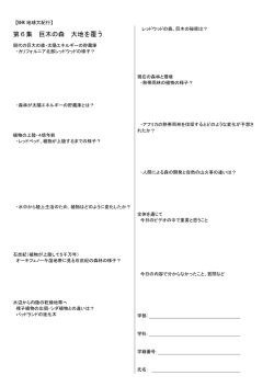 第6集 巨木の森 大地を覆う