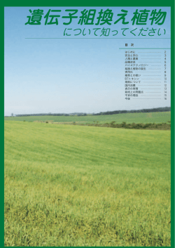 遺伝子組換え植物