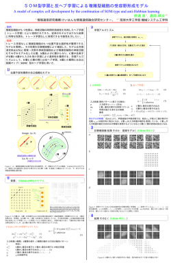 SOM型学習と反ヘブ学習による複雑型細胞の受容野形成モデル