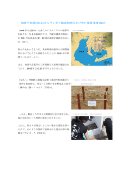 知多半島周辺におけるウミガメ類産卵状況及び死亡
