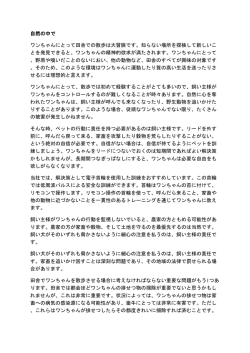 自然の中で ワンちゃんにとって田舎での散歩は大冒険です。知らない