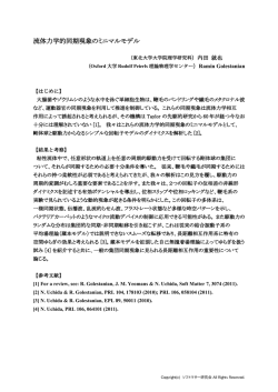 流体力学的同期現象のミニマルモデル