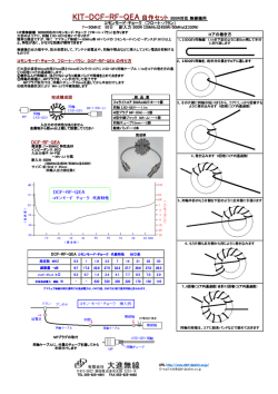 KIT-DCF-RF-QEA - 大進無線 DDD DAISHIN WEB