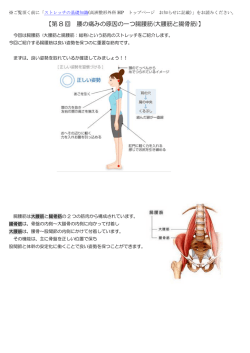【第 8 回 腰の痛みの原因の一つ腸腰筋(大腰筋と腸骨筋)】