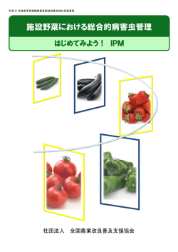 こちら