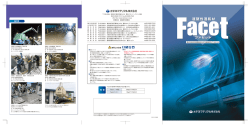 Facet