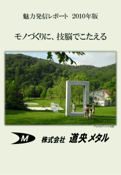 PowerPoint プレゼンテーション