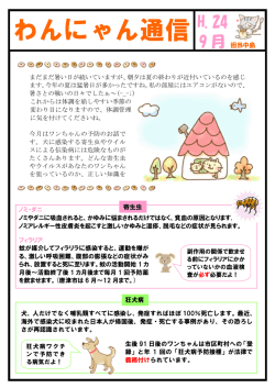 わんにゃん通信