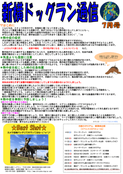 はじめに ＊熱中症の症状 ＊気温よりも湿度に注意 ＊熱中症を起こした