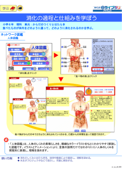 消化の過程と仕組みを学ぼう