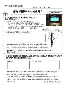 植物の種子