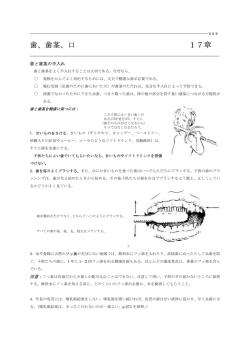 歯、歯茎、口 17章