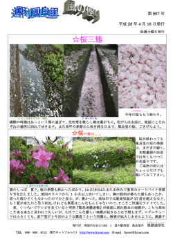 『風の便り』（PDF版）