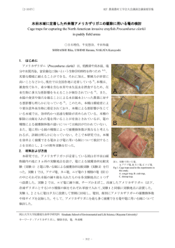 水田水域に定着した外来種アメリカザリガニの駆除に用いる篭の検討