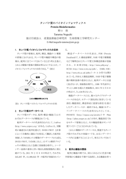 1 タンパク質のバイオインフォマティクス Protein Bioinformatics 野口 保