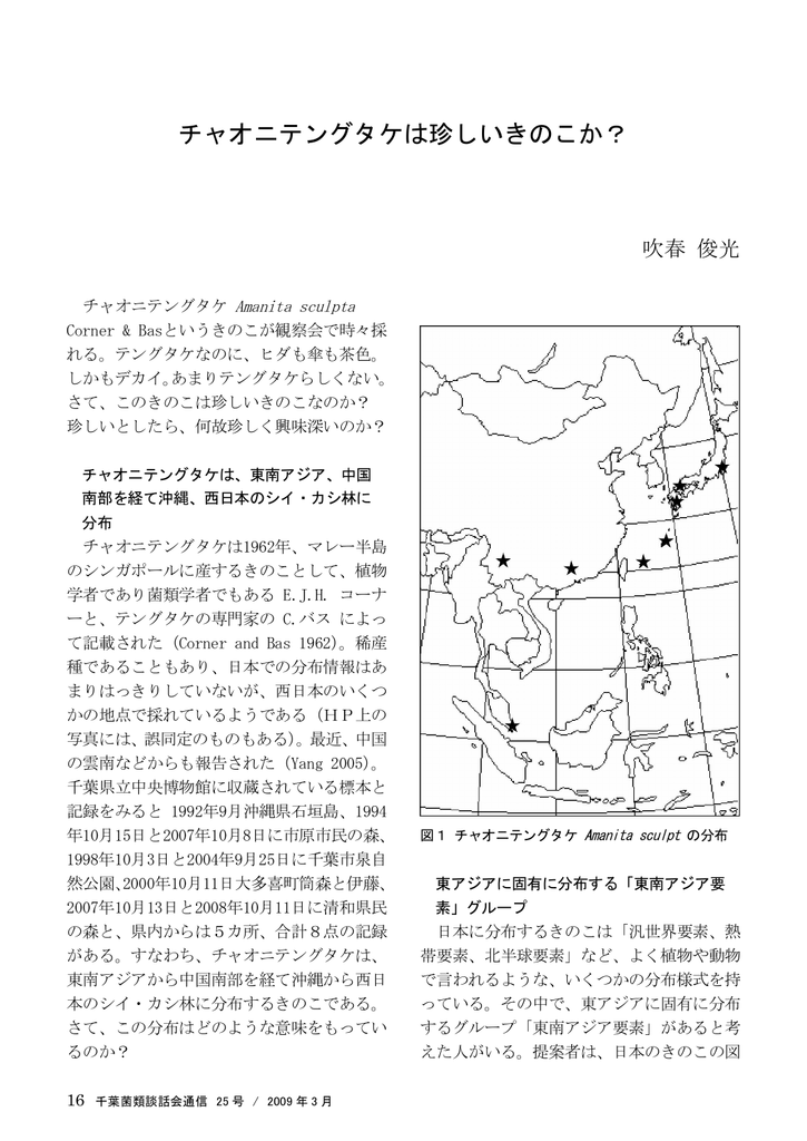 チャオニテングタケは珍しいきのこか