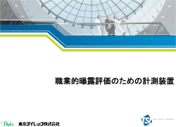 日本語版,PDF