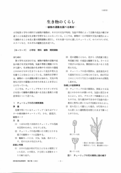 PDFファイル（301KB