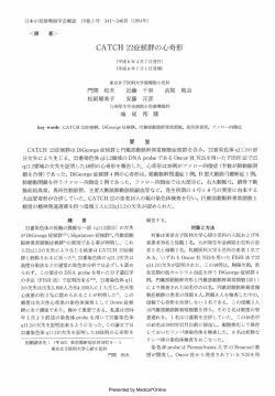 全文PDF