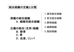 狭義の結合組織 A．線維性結合組織 広義の結合（支持）組織 B．軟骨 C