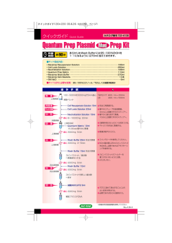 Quantum Prep Plasmid Prep Kit - Bio-Rad