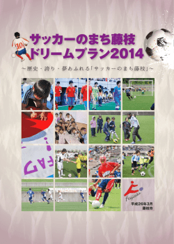 サッカーのまち藤枝ドリームプラン2014（PDF：9.6MB）