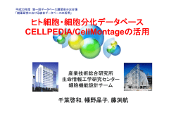 CellMontage
