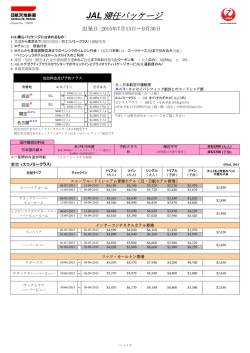 JAL 帰任パッケージ