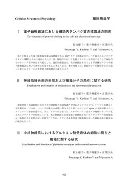 細胞構造学 Ⅰ 電子顕微鏡法における細胞内タンパク質の標識法の開発