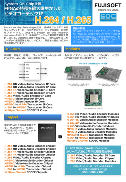 System-On-Chip社製 FPGAの特長を最大限生かした ビデオコーデックIP
