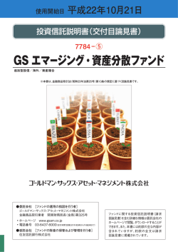GS エマージング・資産分散ファンド