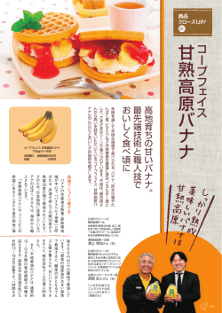 甘熟高原 バ ナ ナ