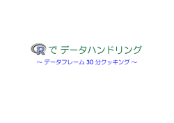 でデータハンドリング