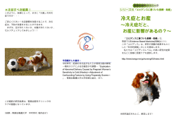 PDFファイルをダウンロード