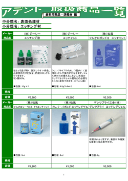 中分類名： 小分類名： 表面処理材 エッチング材