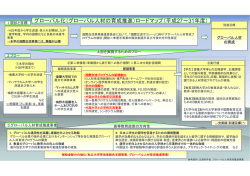 グローバル化（グローバル人材の育成推進）ロードマップ（平成27～31年度）