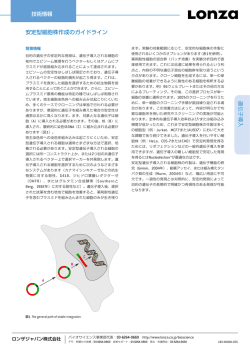 安定型細胞株作成のガイドライン - ロンザジャパン株式会社 バイオ