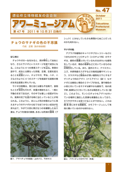 No47 2011年10月1日発行 PDF形式 956KB
