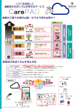 高齢者見守り支援システム CarePAD