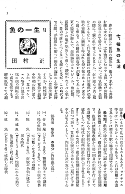 魚の一生 - g z `