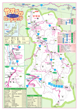 やすづかロードマップ